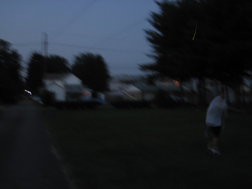 012-Travis catching fireflies.jpg